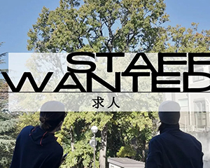 STAFF WANTED【求人】